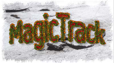 MagicTrack