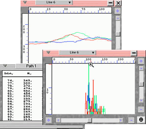 Measurements Filter